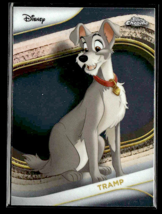 🌟 Tramp — 2025 Topps Chrome Disney #71 🌟